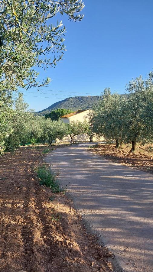 Casa Rural Cal Marti El Pla de Manlleu Esterno foto