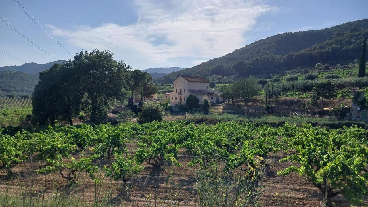 Casa Rural Cal Marti El Pla de Manlleu Esterno foto