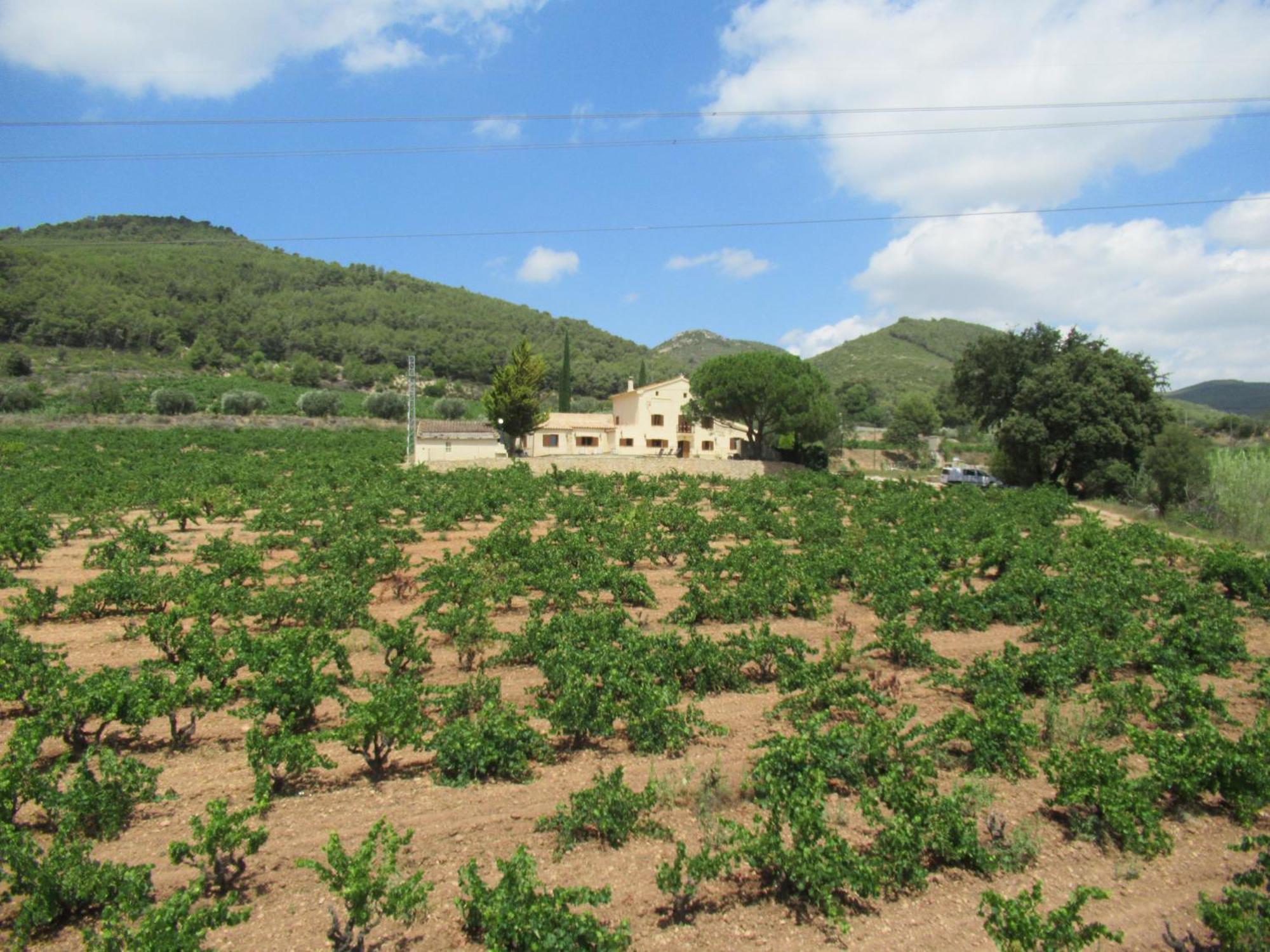 Casa Rural Cal Marti El Pla de Manlleu Esterno foto